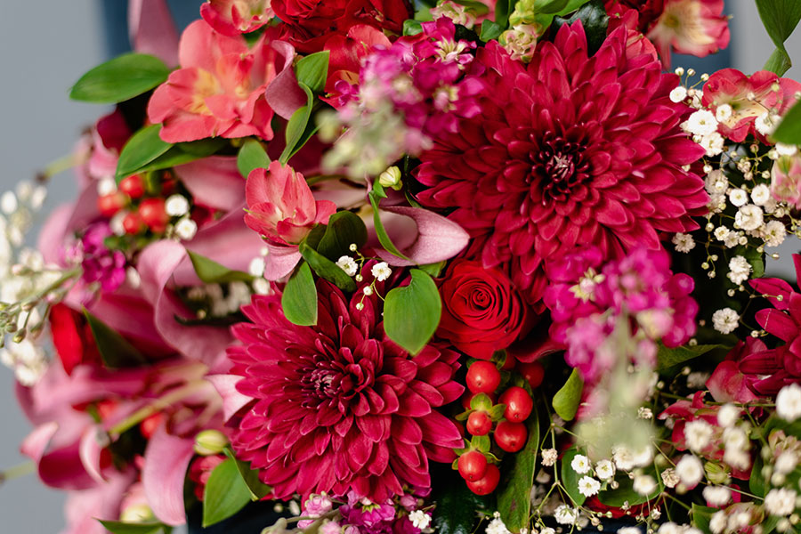 Blumen kaufen in Cadenberge